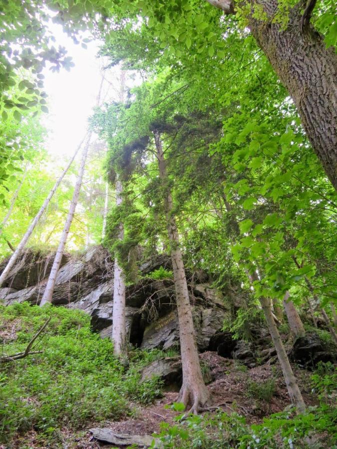 La Roche En Ardenne , Welcome Kültér fotó
